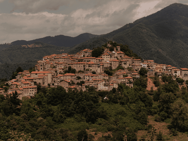 view of the city Tuscany