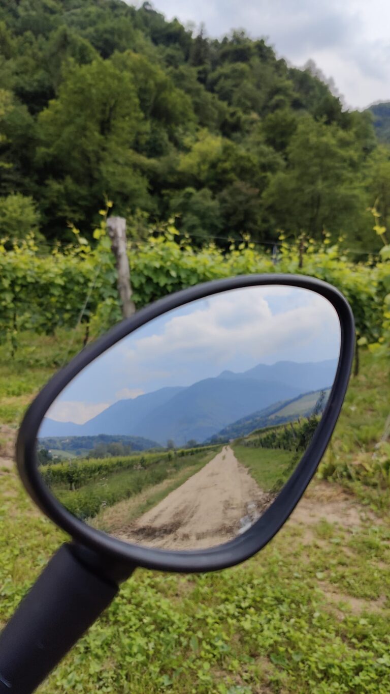 Vespa mirror