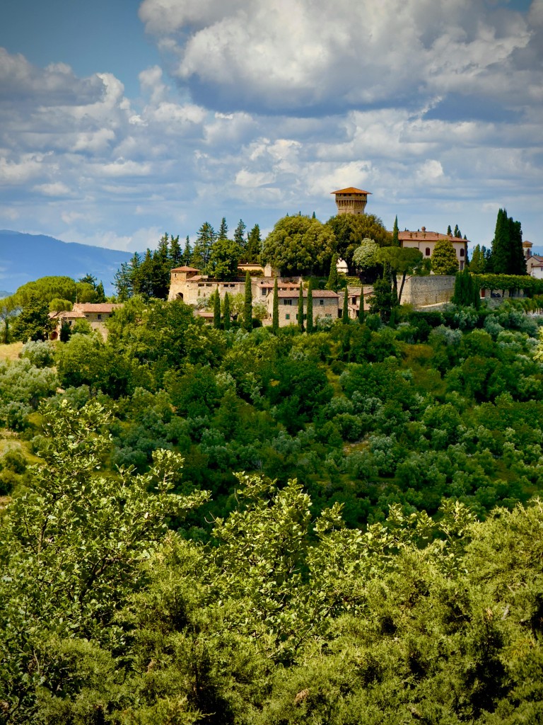 Chianti landscape with trees and greenery